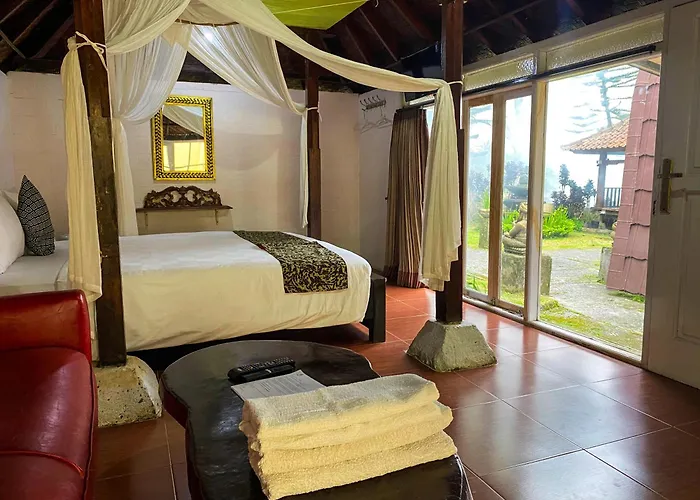 Tunjung Sari Villa Bedugul