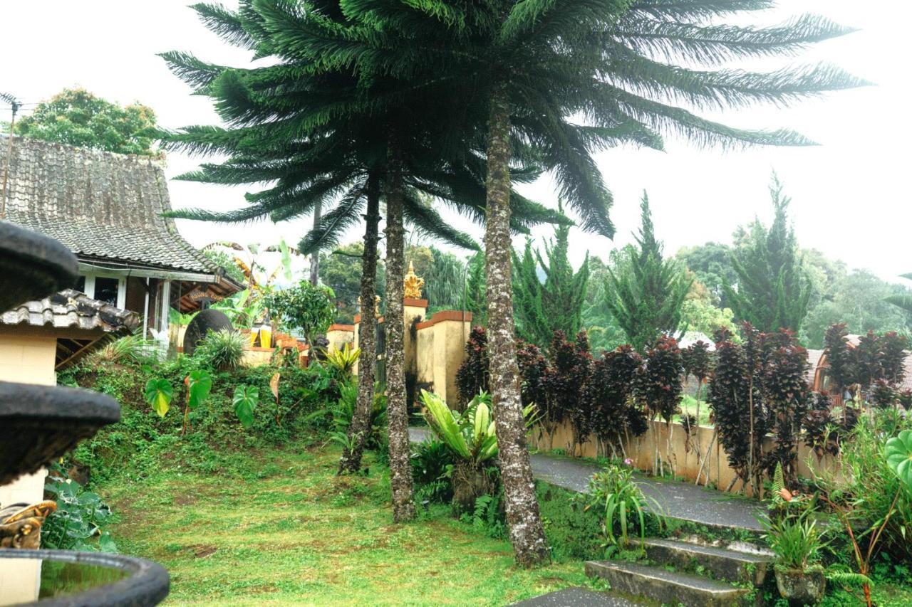Tunjung Sari Bedugul Villa *